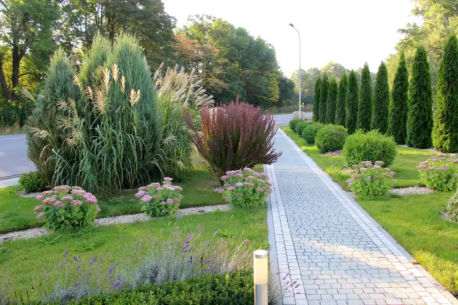 Pathway Construction
